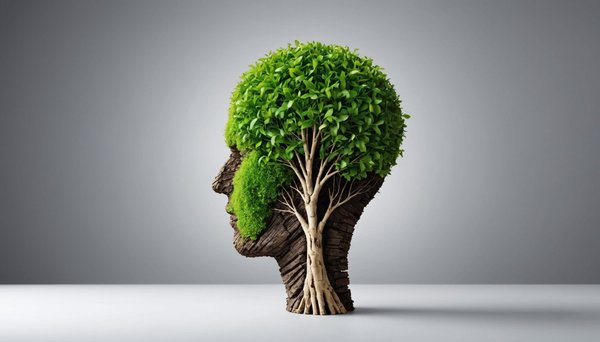 Formation mindset : développez une mentalité gagnante aujourd'hui